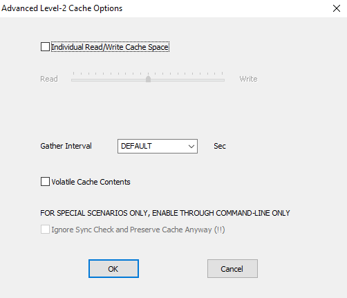 Advanced Level-2 Cache Options.PNG